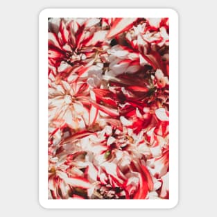 Pretty Red and White Flowers Sticker